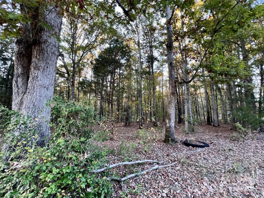 Vacant Land - 2.79 acres with septic permits in place. This is a fantastic opportunity for subdivision and residential development! Zoned LDR, the property offers endless potential for multiple residential uses. Located in a rapidly growing area of North Lancaster, it's ideal for those looking to establish a presence in this thriving community. Conveniently situated just a short drive from shopping and dining in Lancaster, Indian Land, and Rock Hill, SC. Don't miss out on this incredible opportunity!***NOTE*** The white house is not part of the property (2.79 acres) being sold. Please do not approach the owner of the white home. The land for sale is accessed by an easement that goes beside shed belonging to the white house. ***NOTE: Please do not approach the white home.***