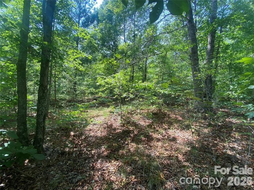 65 Stellar View Drive Unit 6, Union Mills, NC, 28167