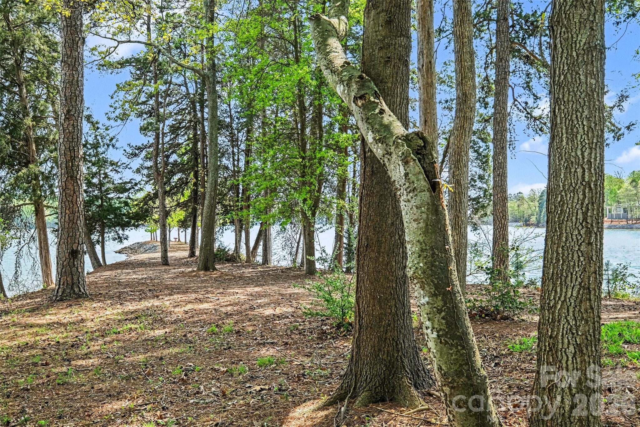 Mclean - South Shore - Residential