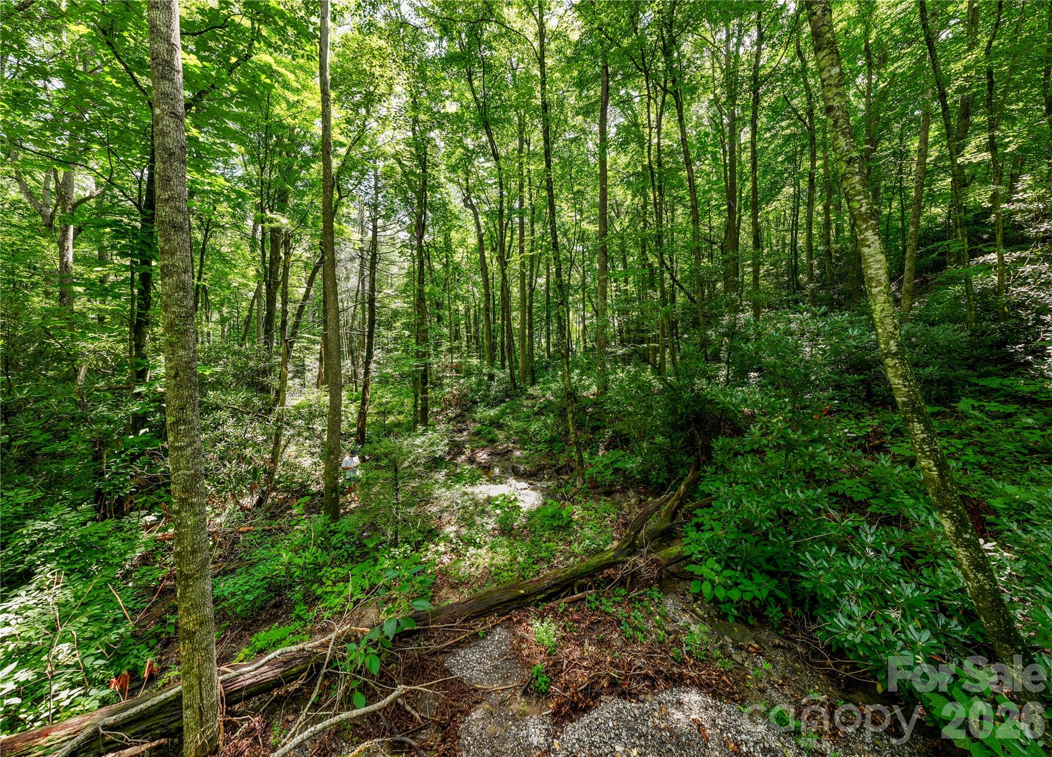 6 Great Aspen Way 123