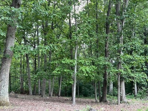 Photo for 2042 Flat Rock Road