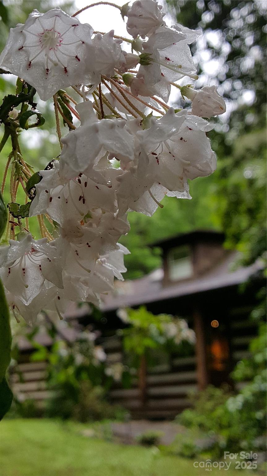 Sweetwater Farms - Residential