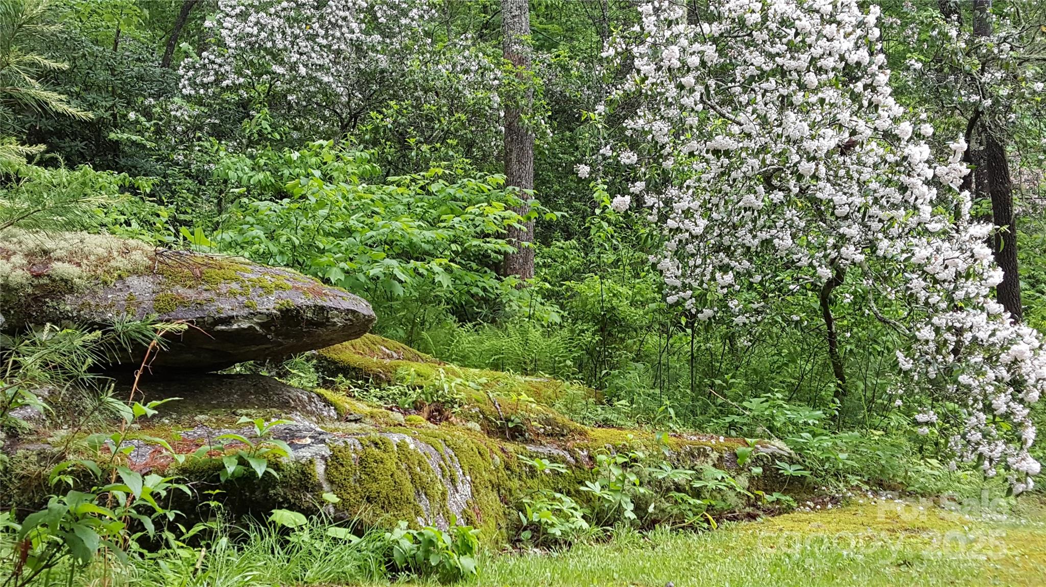 Sweetwater Farms - Residential