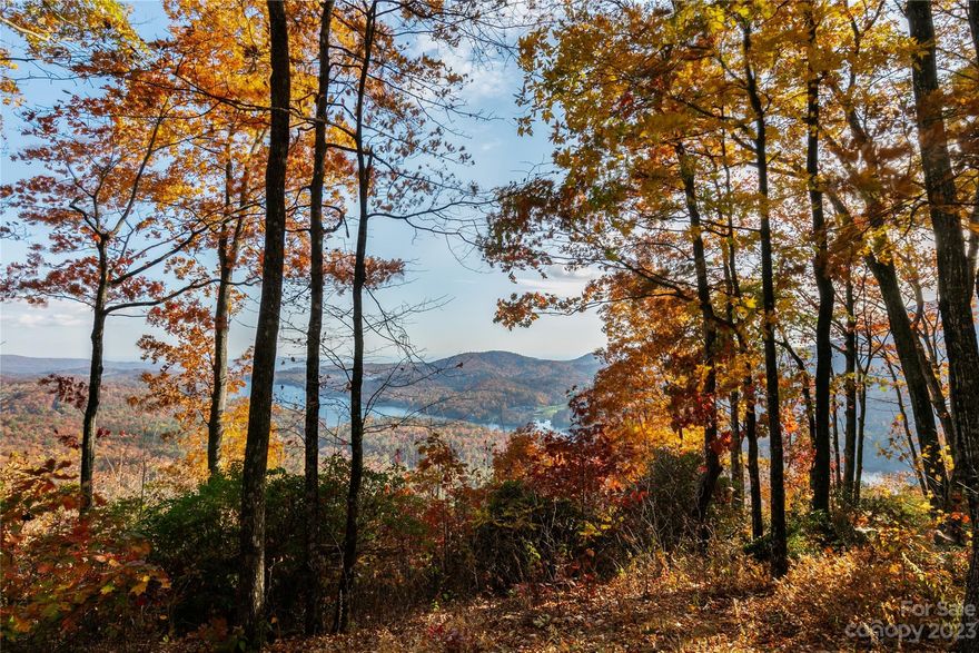 Perched above Lake Toxaway, this 9.1-acre property in Western NC offers an unparalleled haven. With elevated views of mountains and the serene lake, it's the perfect canvas for your dream home. Nestled on the lake-facing side of Panther Summit, the flat terrain facilitates seamless construction, complemented by a reliable well for a constant water supply.

Outdoor enthusiasts will revel in the proximity to Panthertown Valley, Pisgah National Forest and the Blue Ridge Parkway, creating an oasis for hikers and bikers. World-class trout fishing streams meander through, inviting anglers to explore the pristine waters of WNC

The property's strategic location, less than an hour from Asheville Regional Airport, ensures easy access to major cities like Atlanta, Greenville, and Charlotte. 

Be sure check out video!

POA - https://laketoxawaycommunity.net/
Marina - https://www.laketoxawaymarine.com/
Country Club - https://www.laketoxawaycc.com/