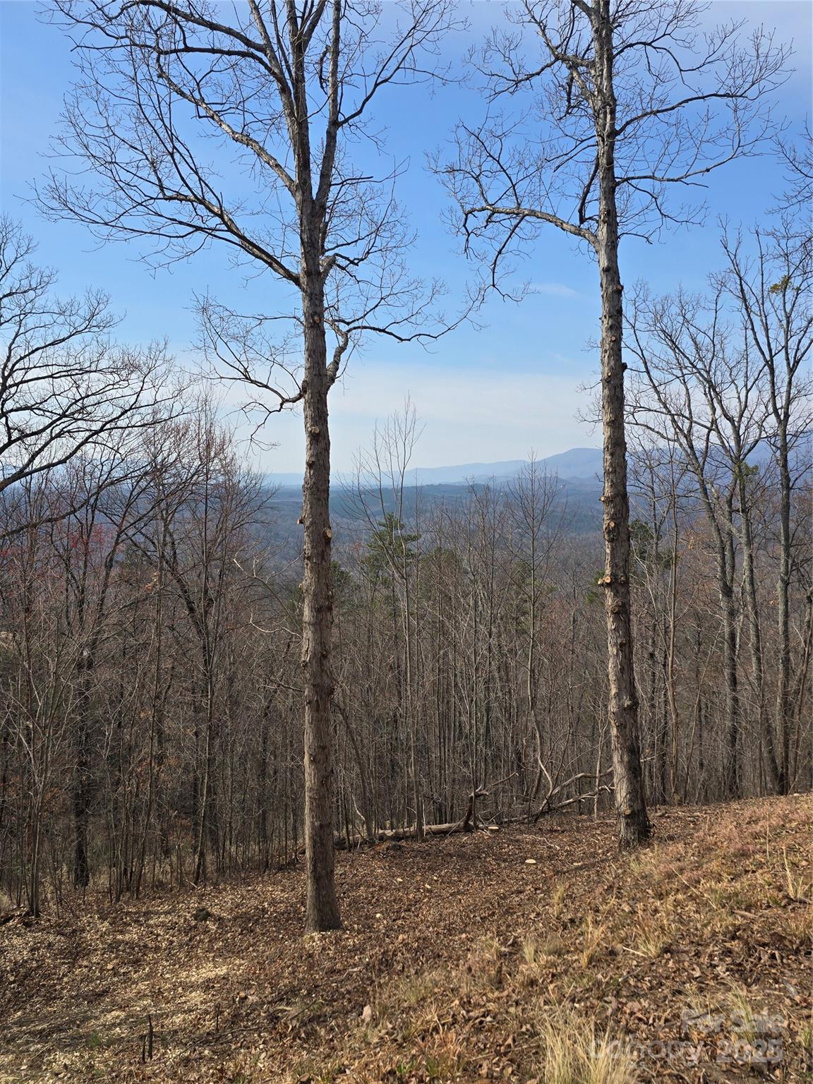 Vista At Bills Mountain - Land