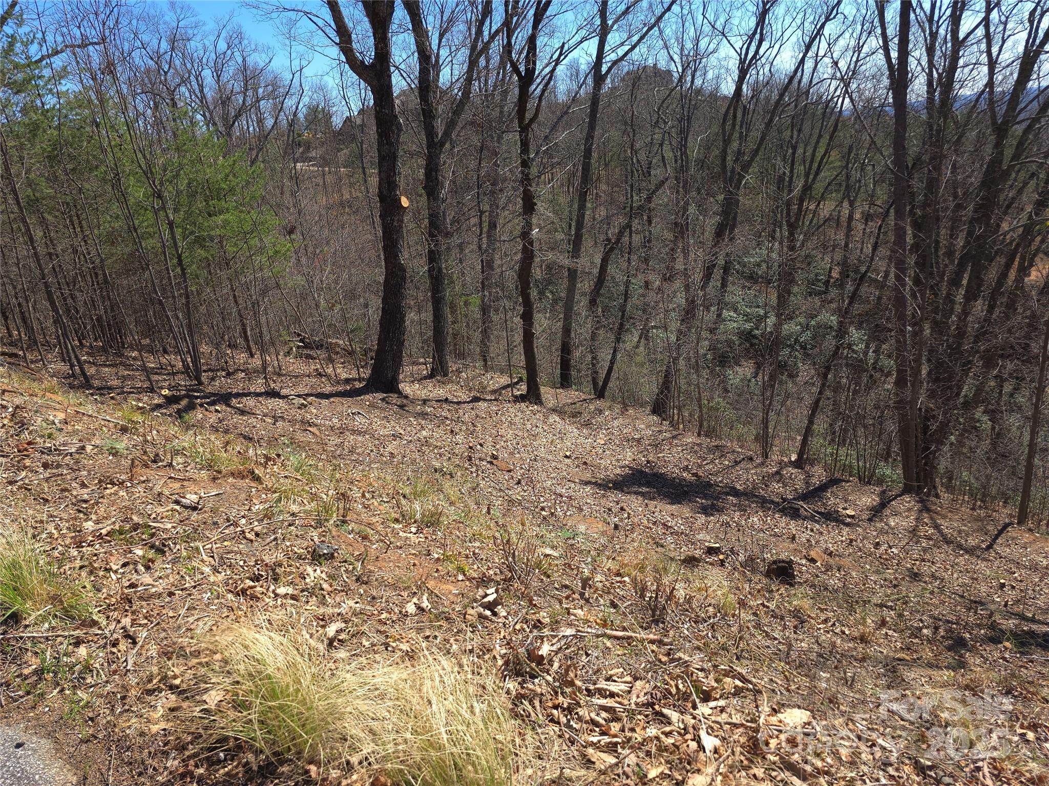 Vista At Bills Mountain - Land