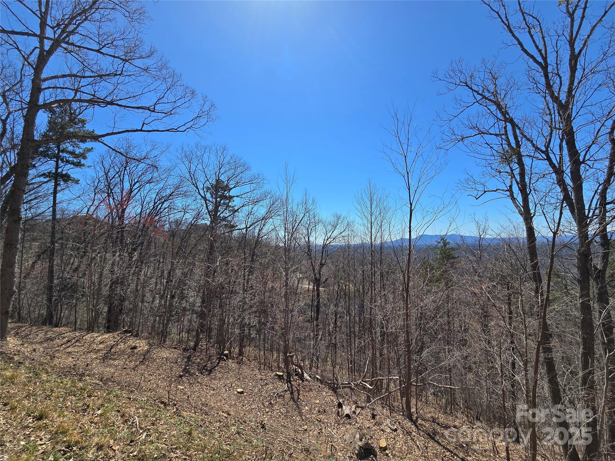 Vista At Bills Mountain - Land