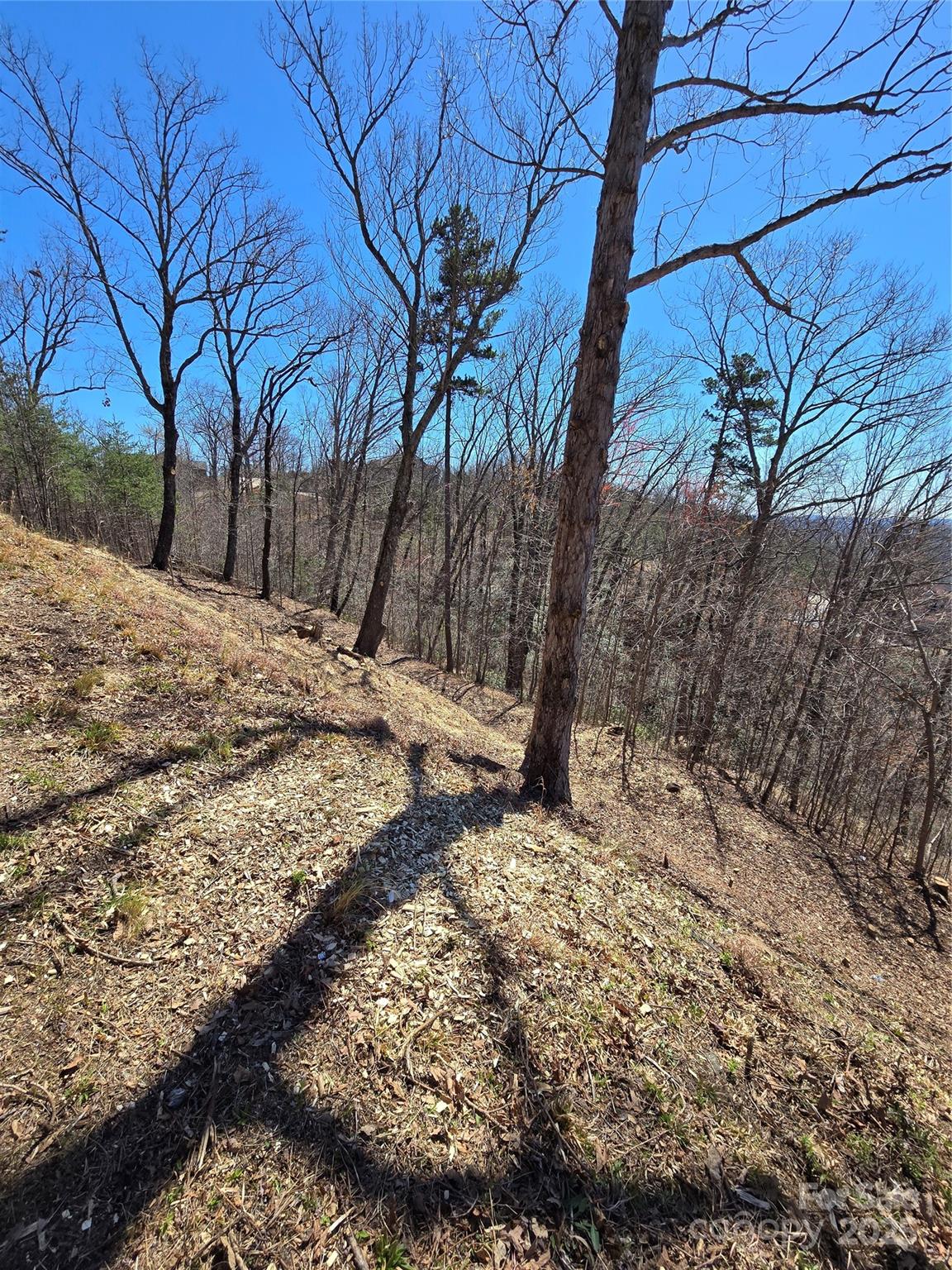 Vista At Bills Mountain - Land