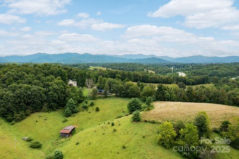 28 Trinity Hills Drive Weaverville NC 28787