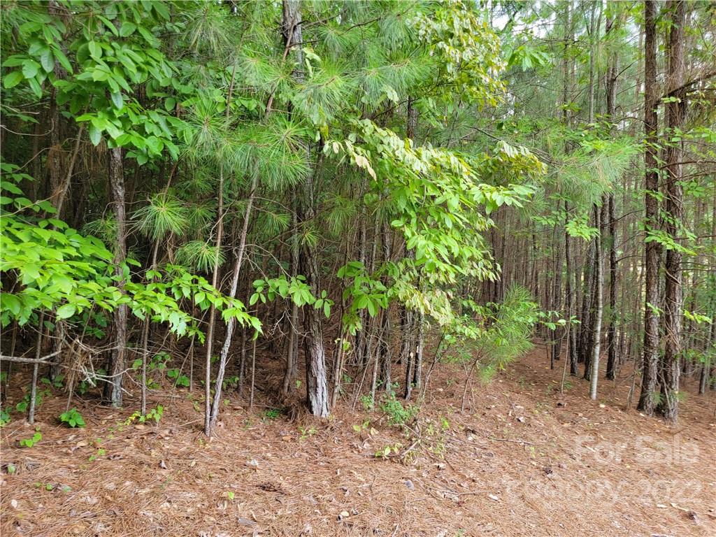 Anchors Landing - Land