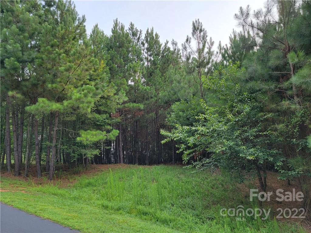 Anchors Landing - Land