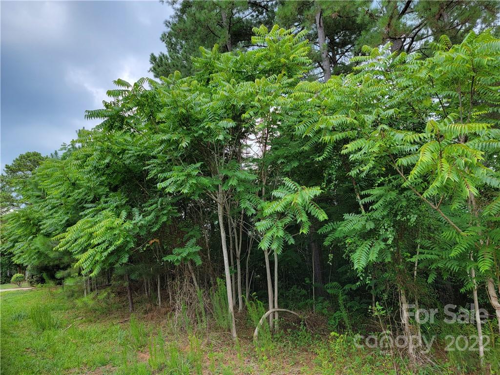 Anchors Landing - Land