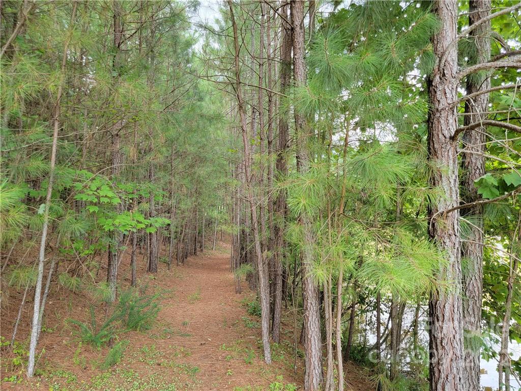 Anchors Landing - Land