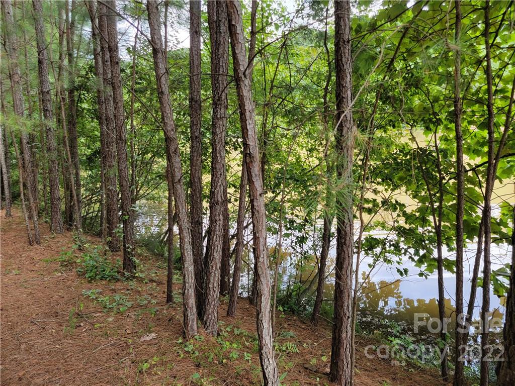 Anchors Landing - Land