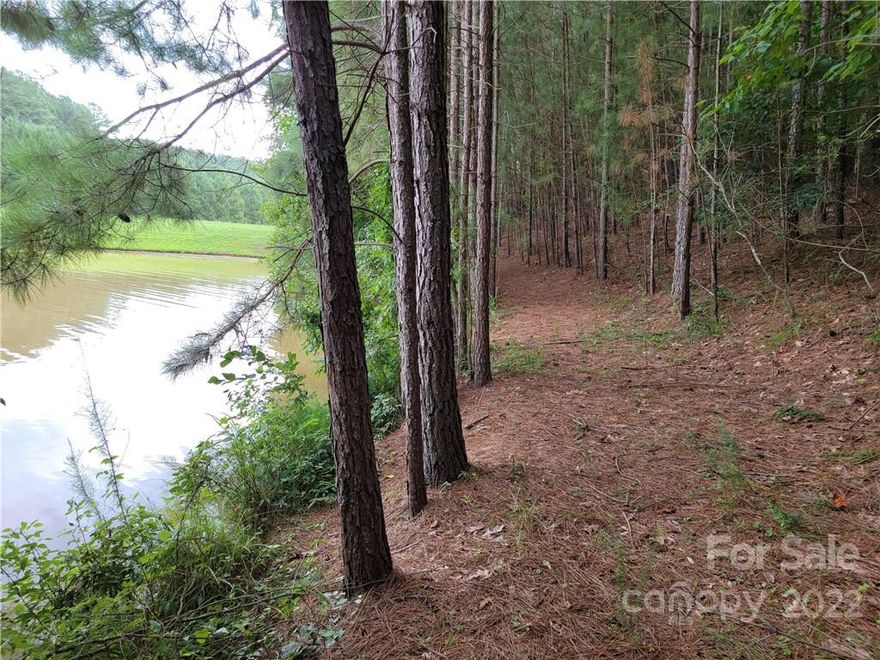 Motivated Seller, Bring all offers. Gated community, a little over 1-acre wooded overlooking Heron Lake. Perfect building site, bring your kayaks to your own backyard!  - Priced to sell, $40,000 under tax value. This is a must-see! Located in Anchors Landing with Several Miles of paved Walking Trails, Community clubhouse, outdoor pool, Boat slips, Several Community Lakes that are stocked with Fish.