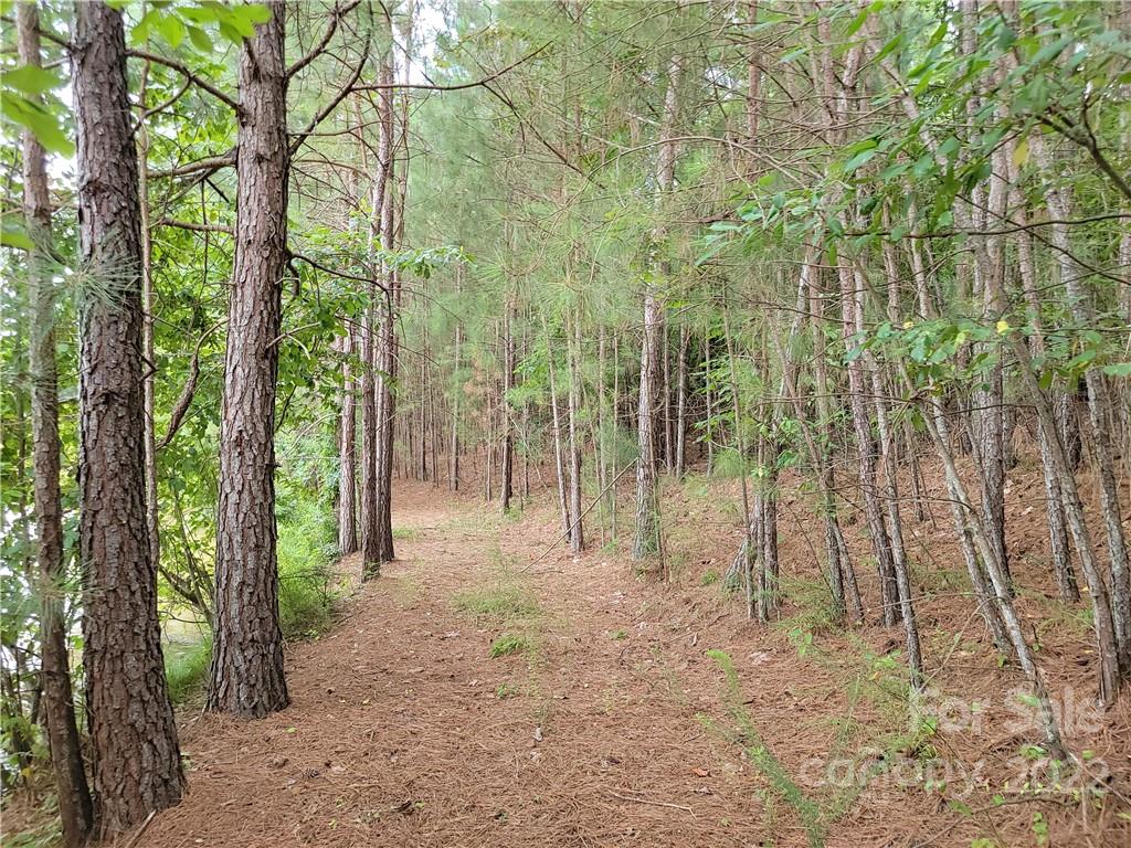 Anchors Landing - Land