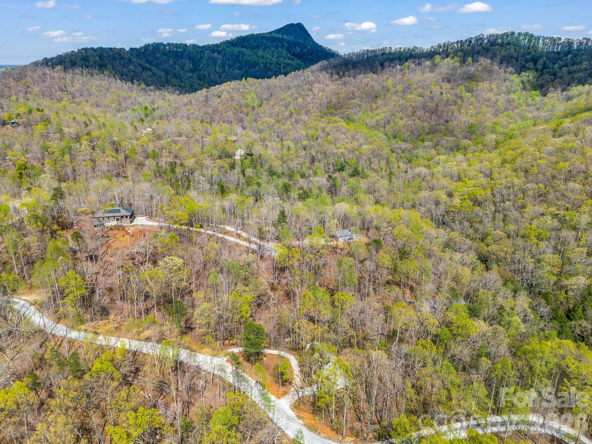 The Forest at Rixhaven - Residential