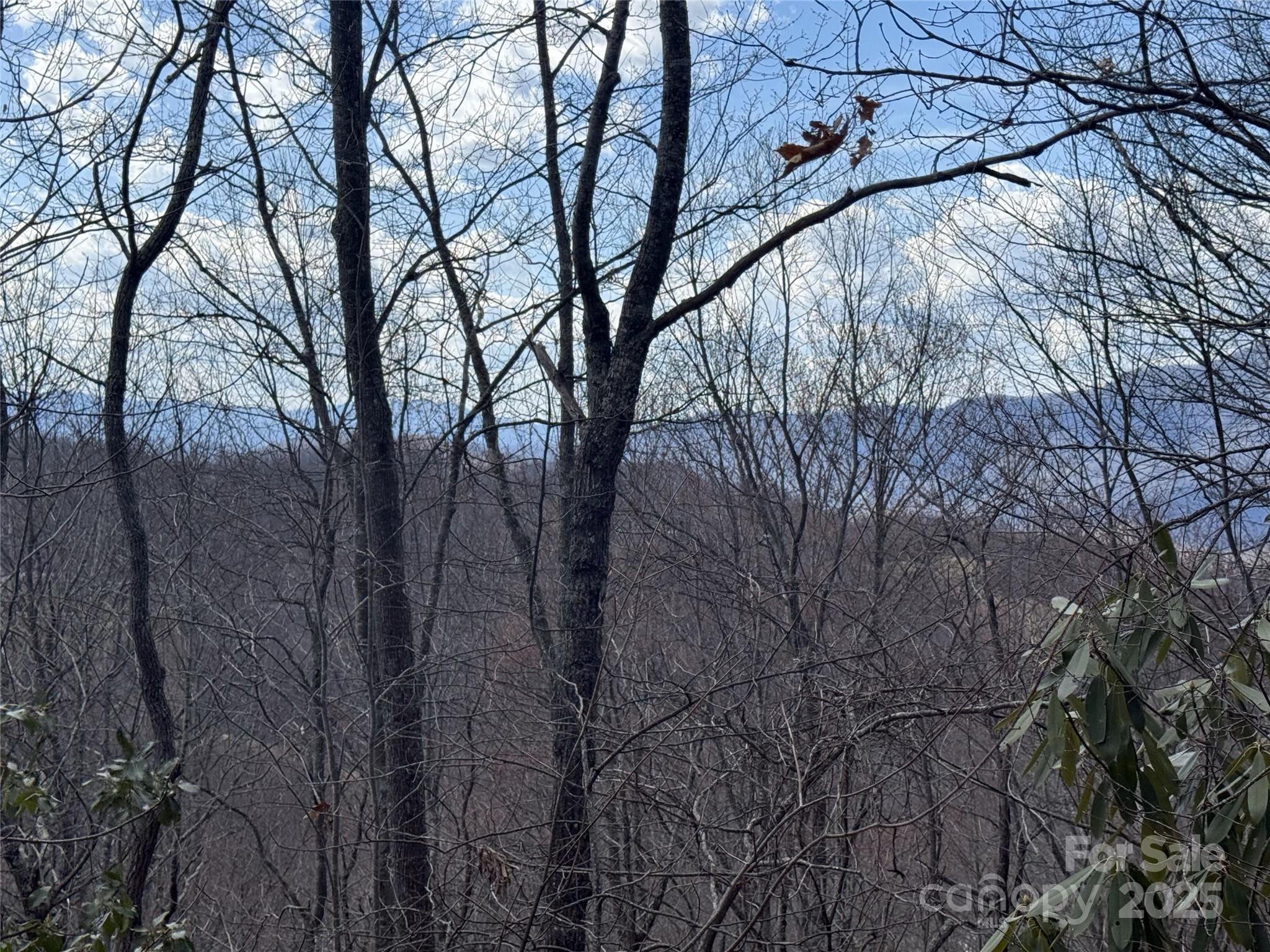 Balsam Mountain Preserve - Land