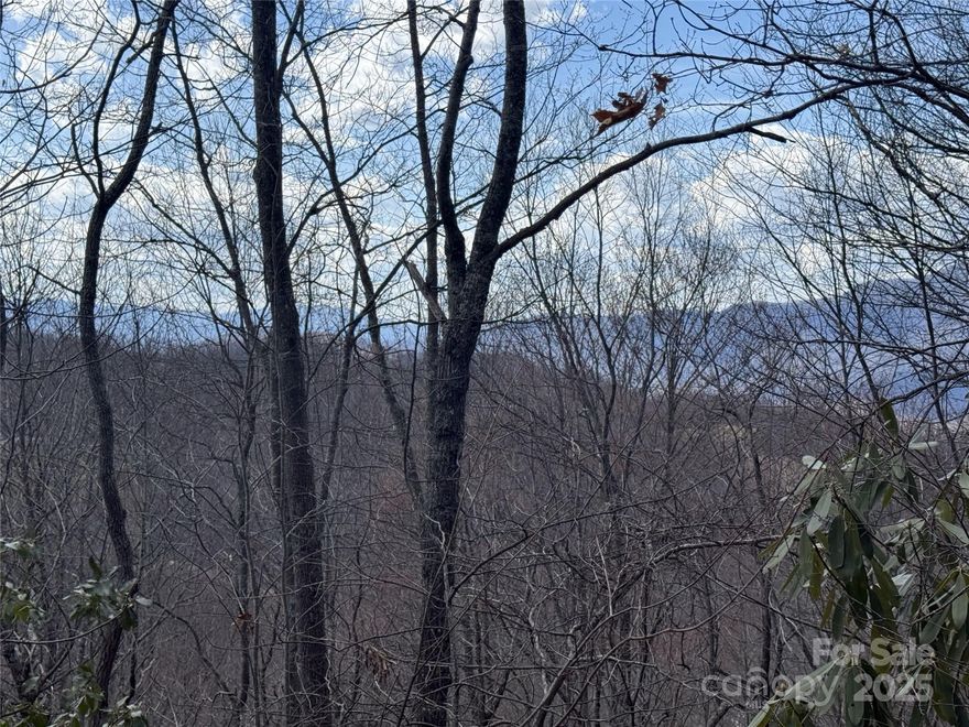 Beautiful private lot with excellent proximity to the club house, fitness center, and other community amenities. This lot offers panoramic mountain views, views of the golf course, and 5.25 acres of solitude and relaxation.
Balsam Mountain Preserve is a private 4,400 acre club community with 3,200 acres of conservation land 
and completed amenities including an Arnold Palmer golf course, The Summit House 
and Mine Tavern restaurants, wellness and equestrian centers and over 40 miles of hiking trails.