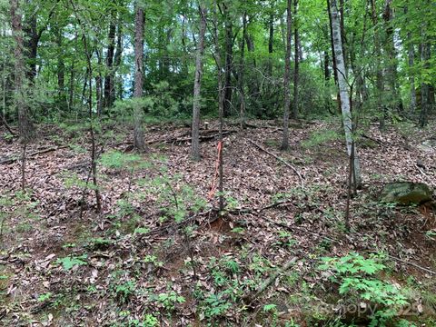 0 Roundabout Road 35 Lake Lure NC 28746