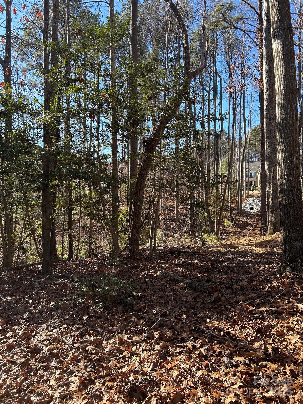 Norman Pointe - Land