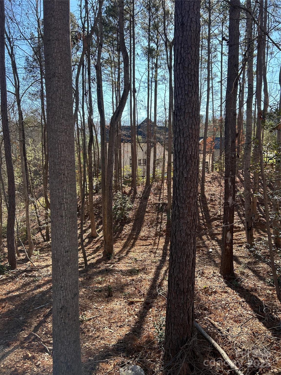 Norman Pointe - Land