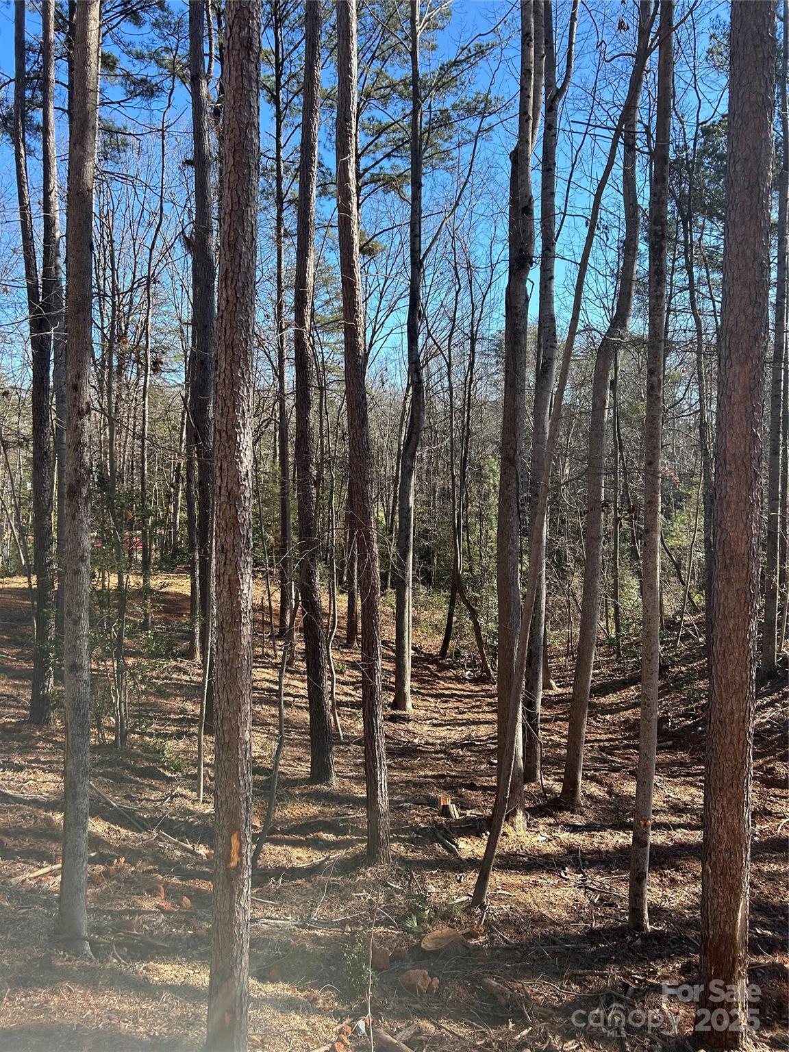 Norman Pointe - Land