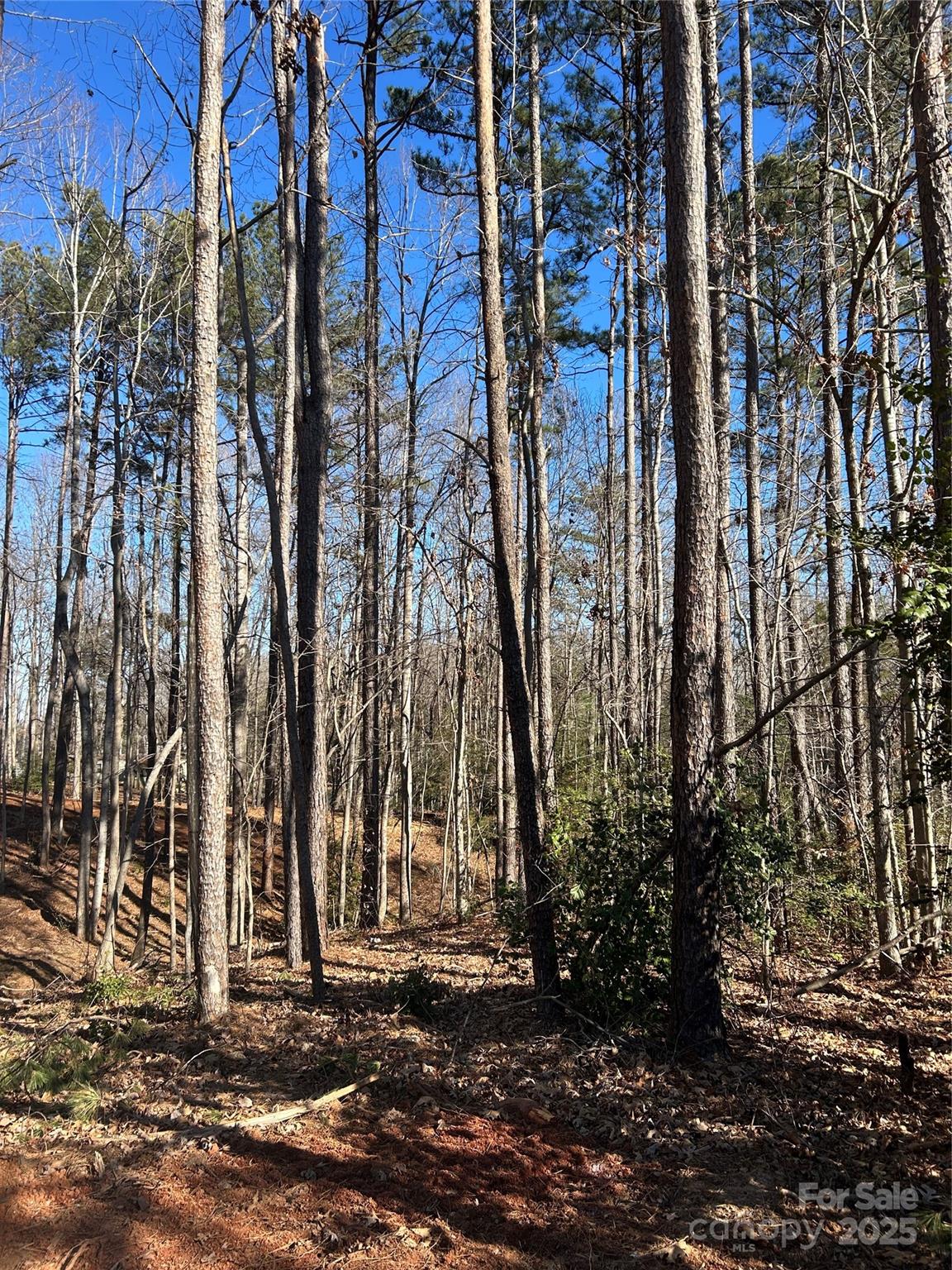 Norman Pointe - Land