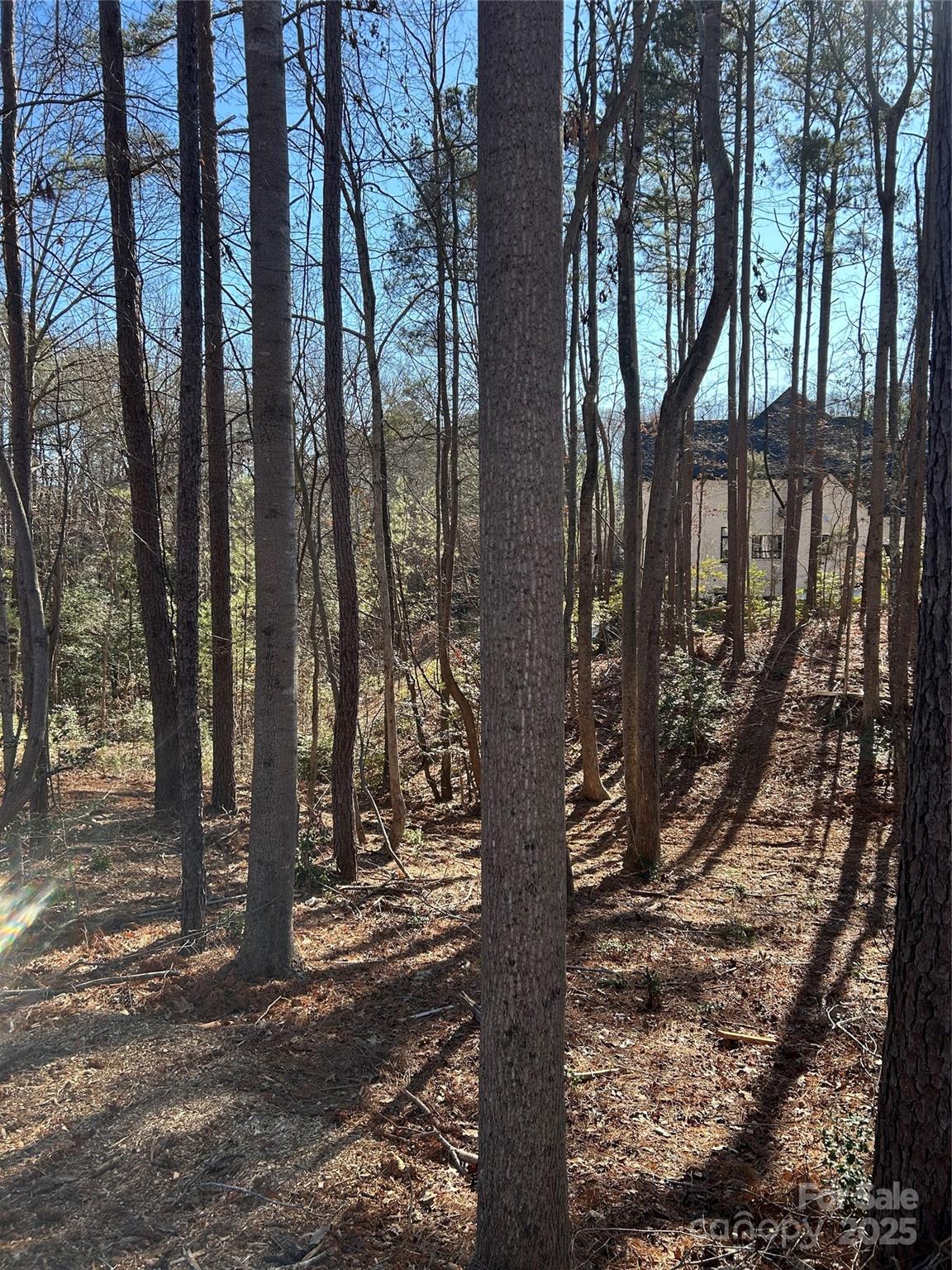 Norman Pointe - Land