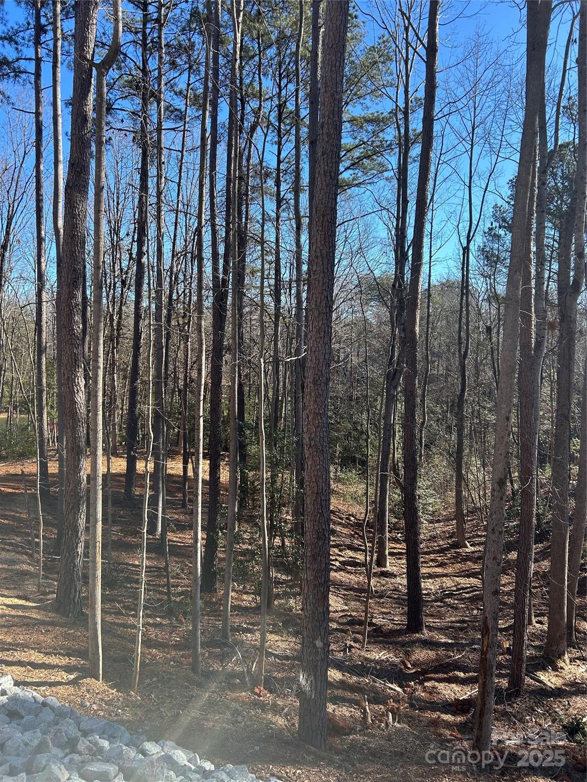 Norman Pointe - Land