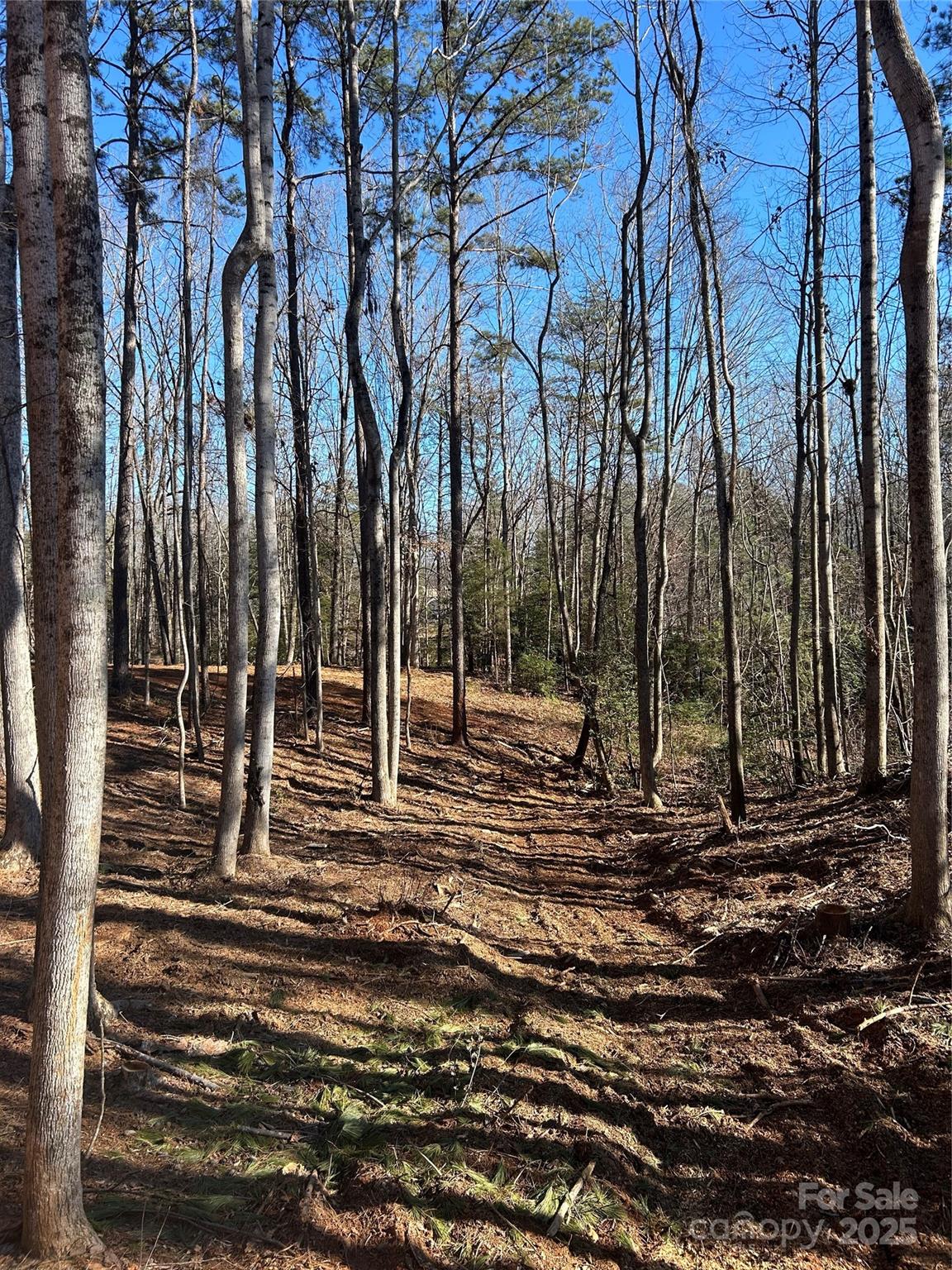 Norman Pointe - Land