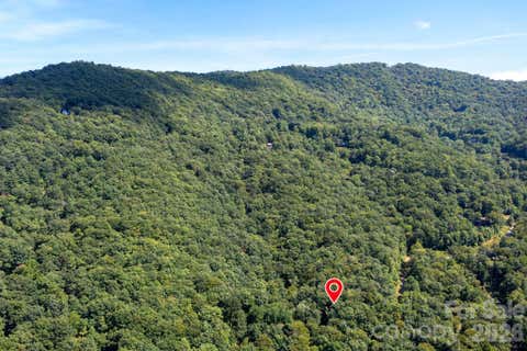 Photo of 1250 Arborcrest Way #43, Fairview, NC 28778 (MLS # 4417465)