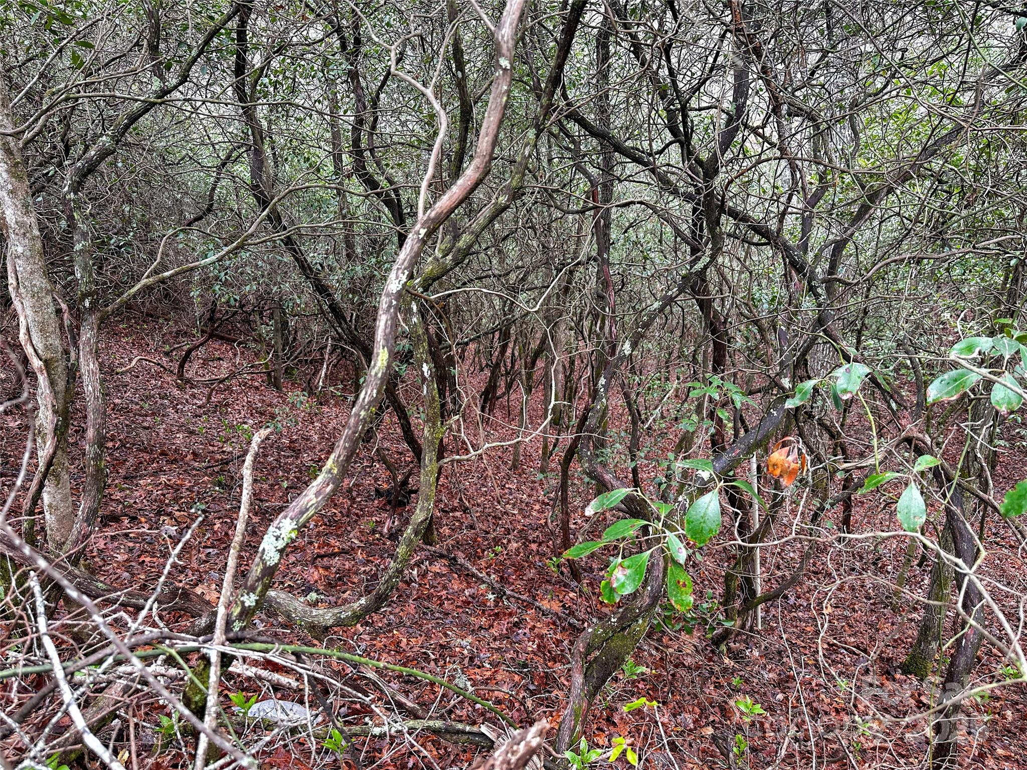 Lot 3 Tara Hills Road