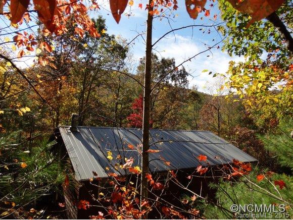 Riceville Forest - Residential