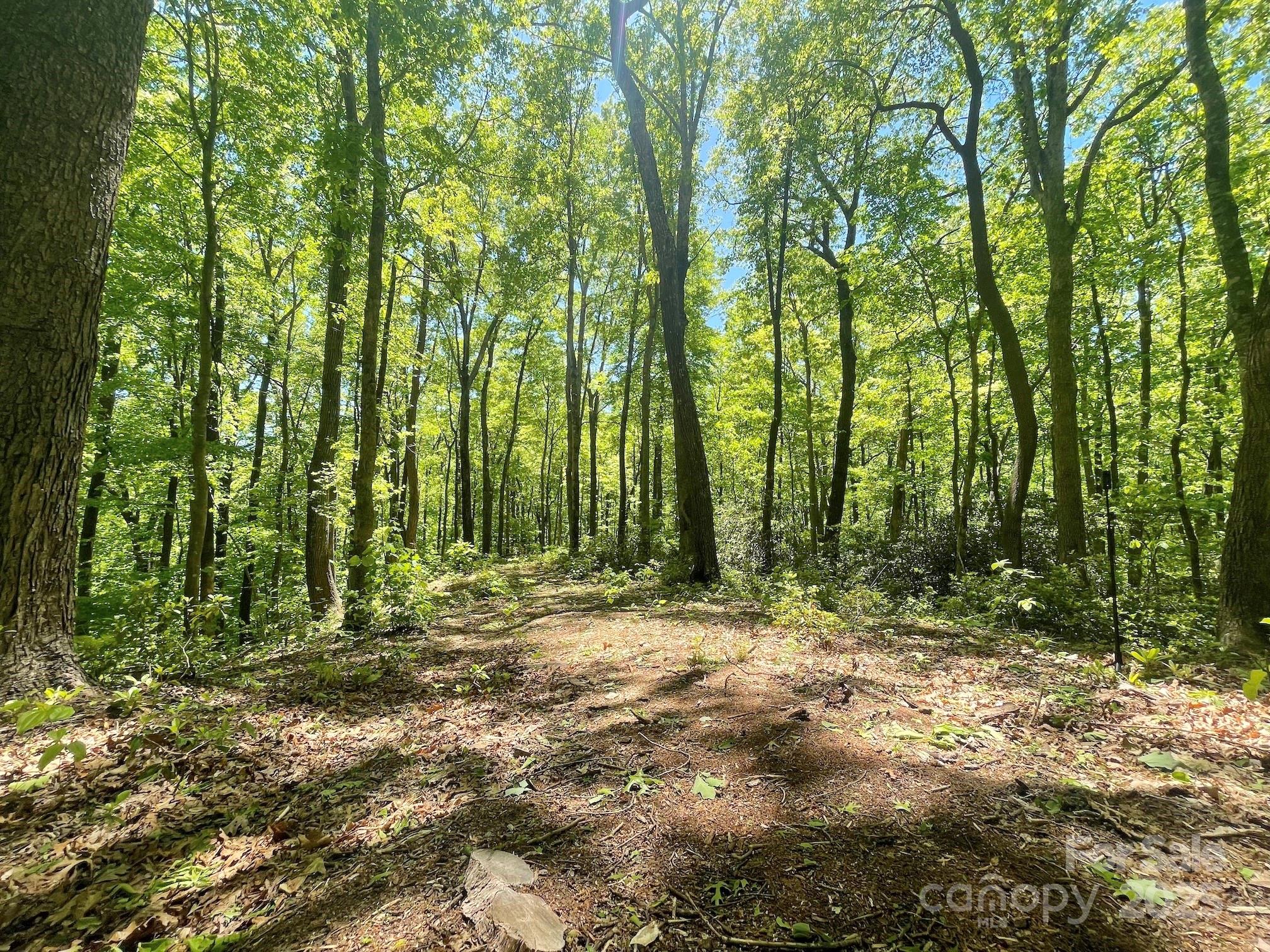 201 Ironwood Lane T-100