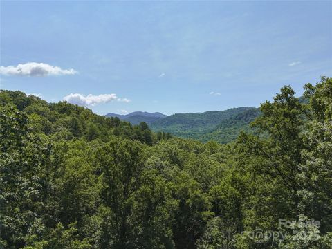 201 Ironwood Lane T-100 Black Mountain NC 28711