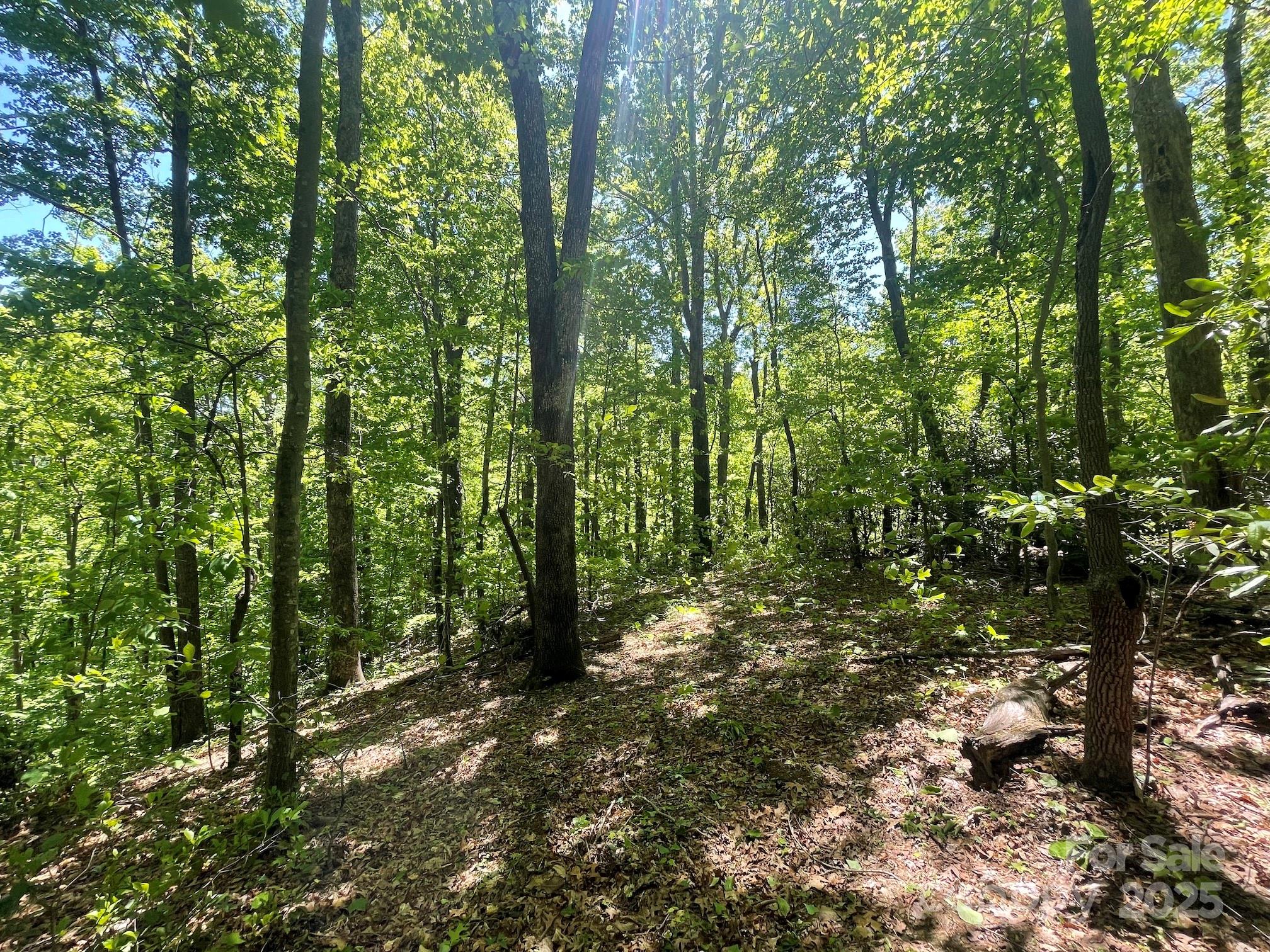 201 Ironwood Lane T-100