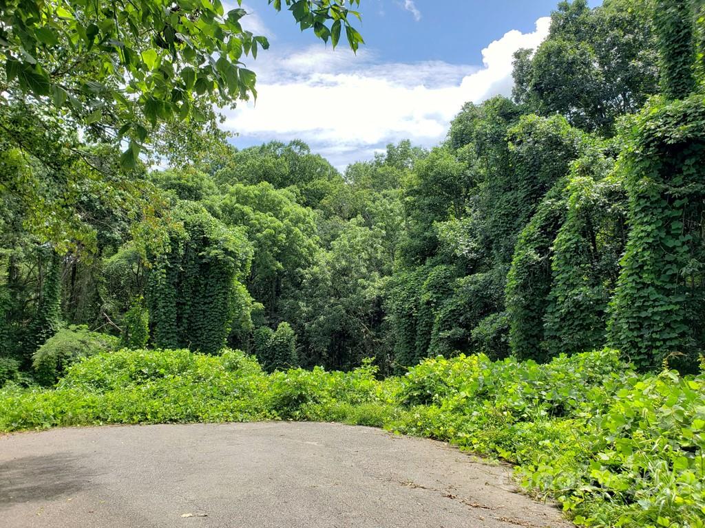548 Caribou Road