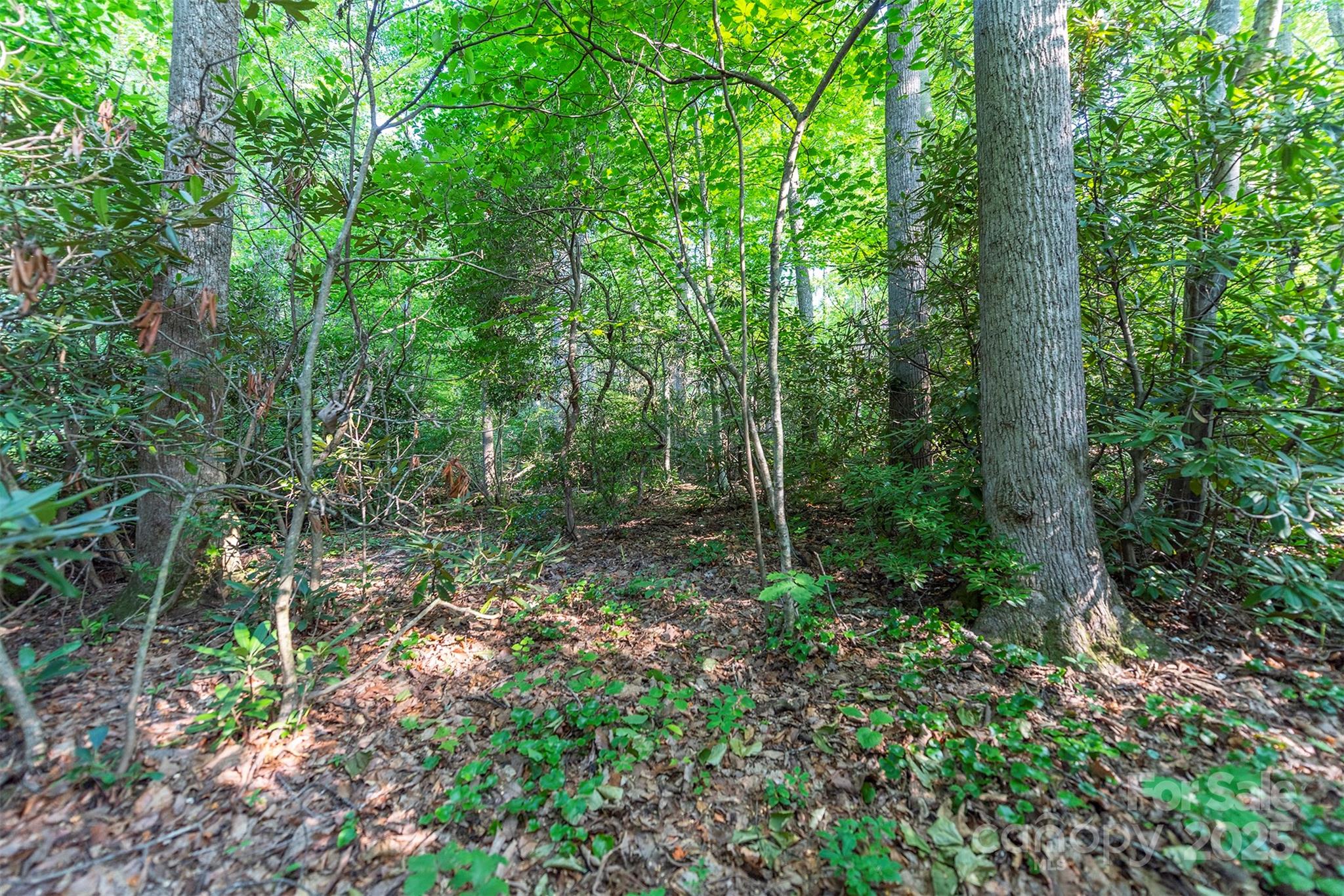 TBD Mecklenburg Circle