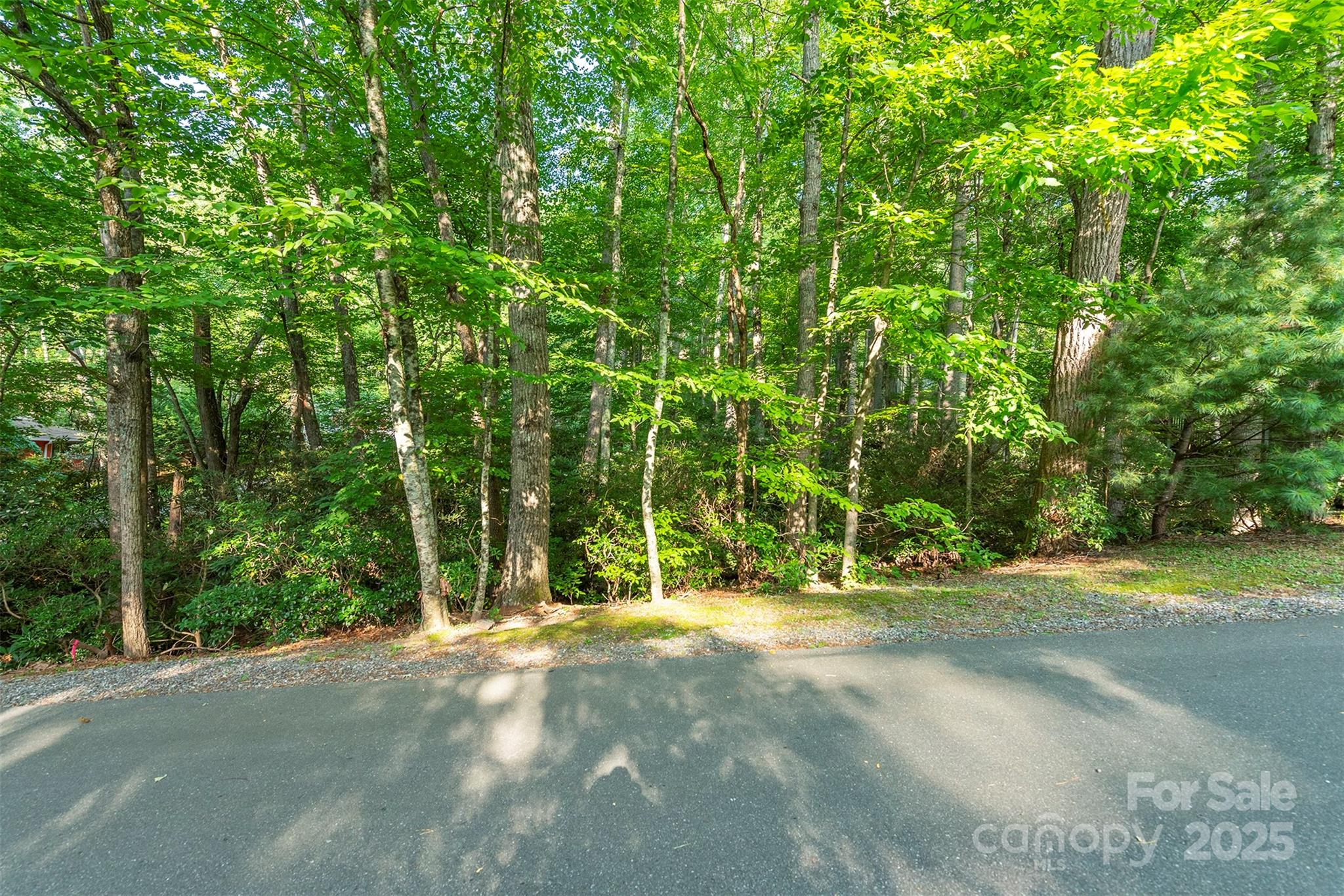 TBD Mecklenburg Circle