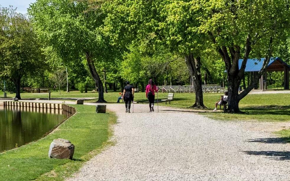 941 Sardis Cove Drive