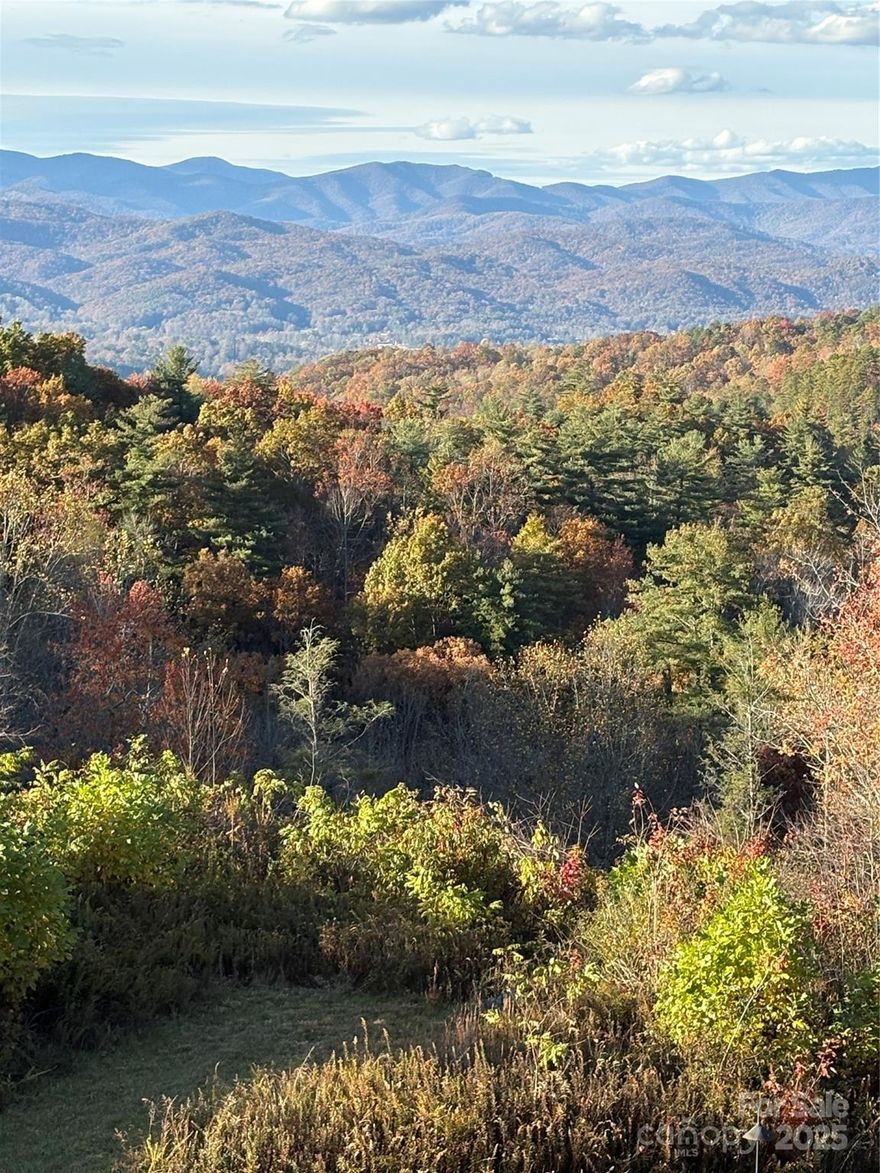 Approximately 200 acre forest with mountain views, valleys and streams covered with gorgeous hardwoods, rhodos, mountain laurel, mosses and ferns.  Historic Hogsed Creek runs through the forest, fed by a plethora of virgin springs and waterfalls.  Magnificent white oak specimen tree.  Adjacent to Eagle Lake, 10 minutes from Brevard off 276 toward Cedar Mountain.  If developed, there is a deed restriction of ten acres per structure (possible land plan with 17 possible homes attached); alternatively it could be used as a family estate, or purely used for land conservation.  A tax exemption opportunity.  Call now.