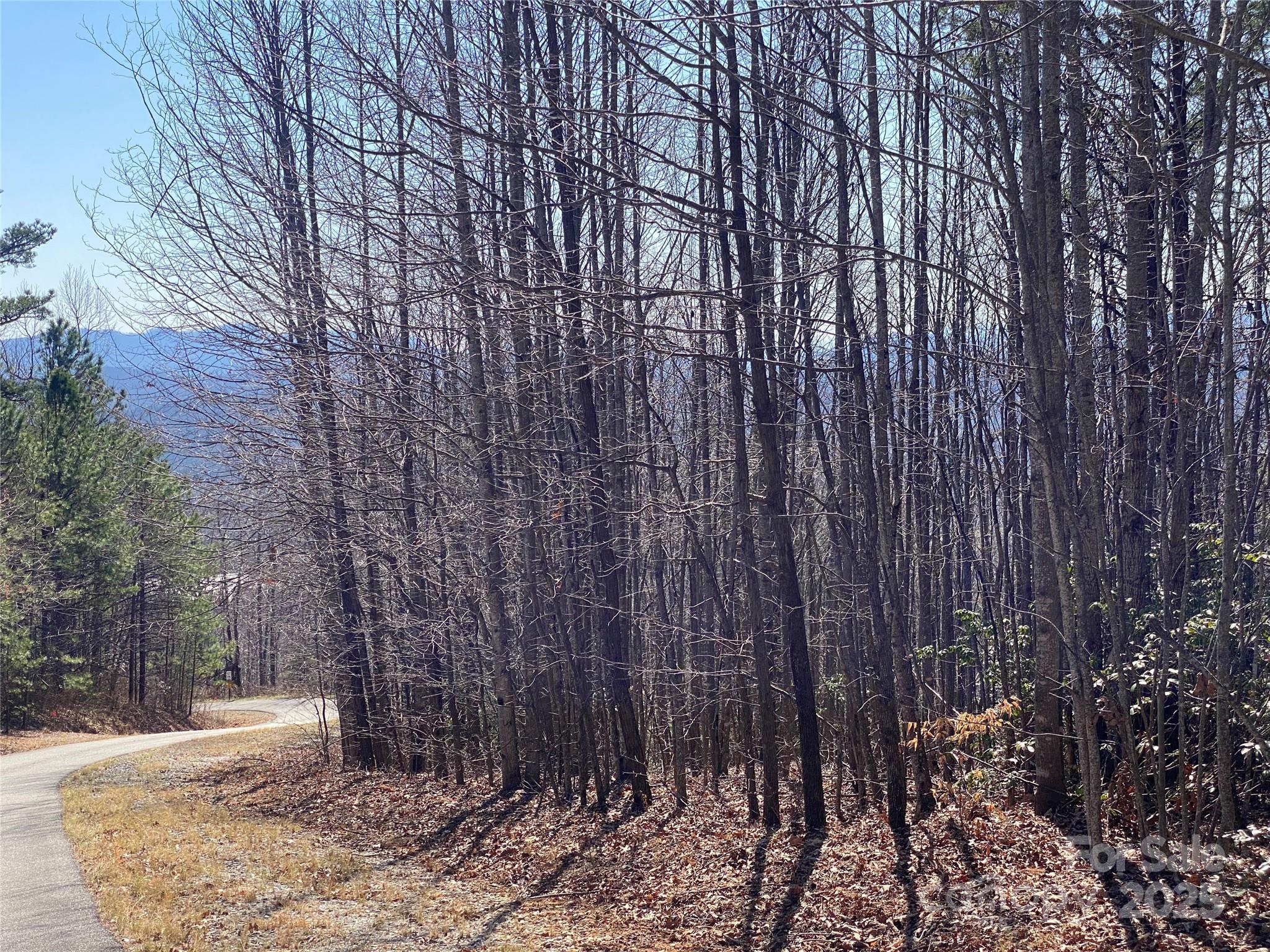 Grants Mountain Estates - Land