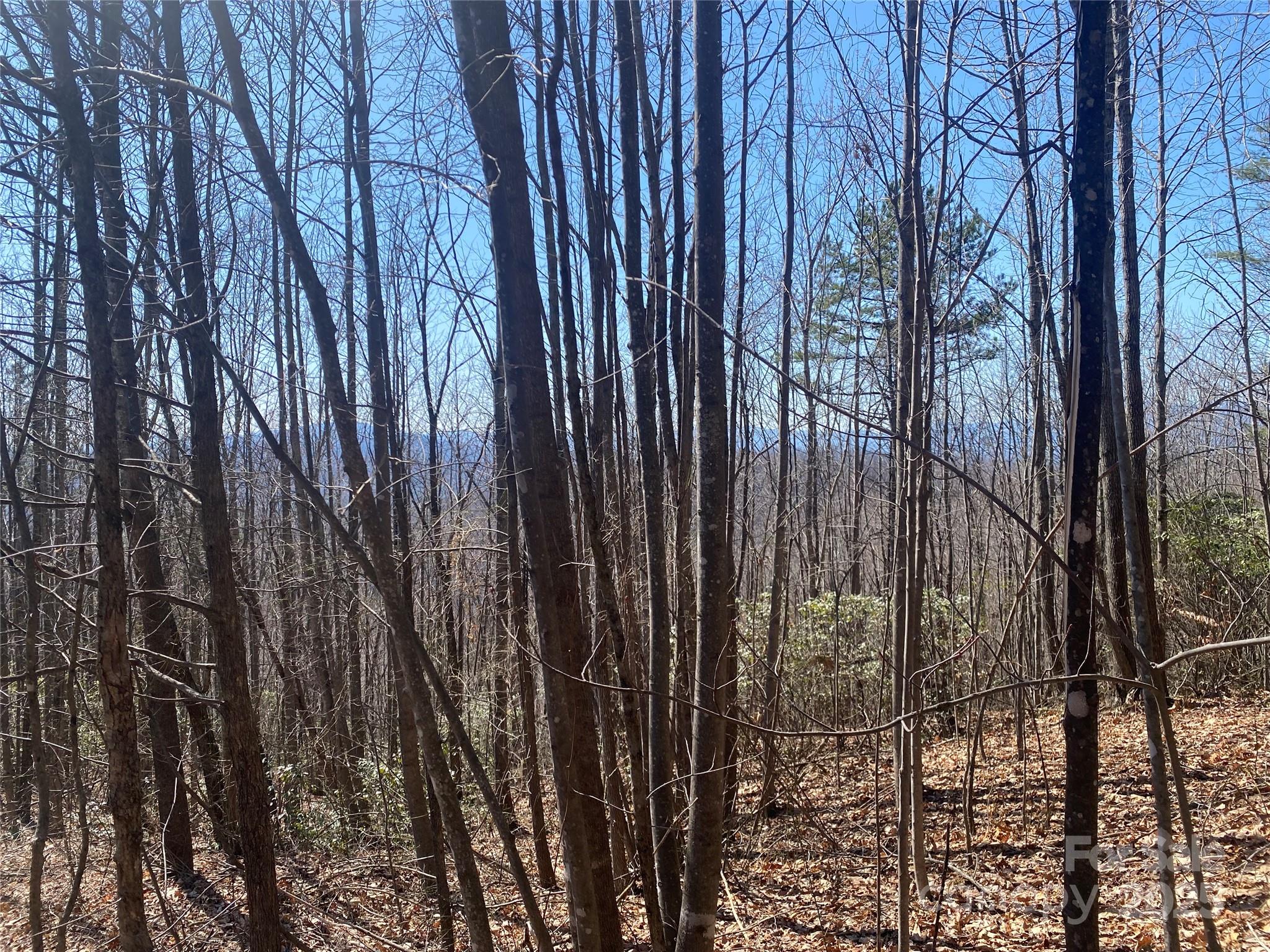 Lot 72 Mountain Crest Drive S