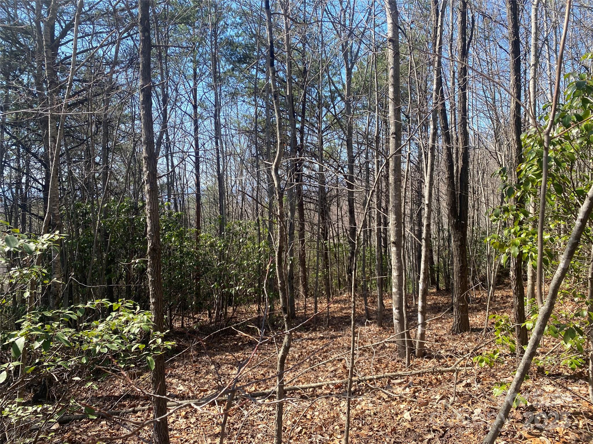 Lot 72 Mountain Crest Drive S