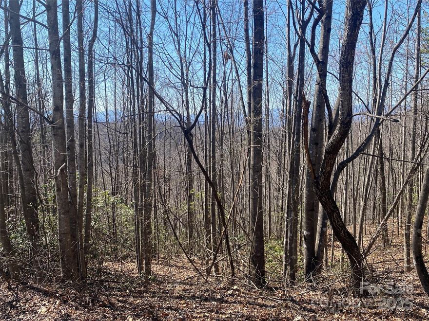 Build your dream home on this beautiful 3.36-acre lot with spanning mountain views, in the peaceful and private setting offered by Grants Mountain Estates. This gated mountain community boasts gorgeous valley views of the city of Marion and abundant wildlife, with the entrance less than 1 mile from I-40 to Asheville/Hickory and 2 miles from bustling downtown Marion. Lot 72 is gently rolling at the top, offering several options for building to capture the amazing views. Priced below tax value, this one won't last long!