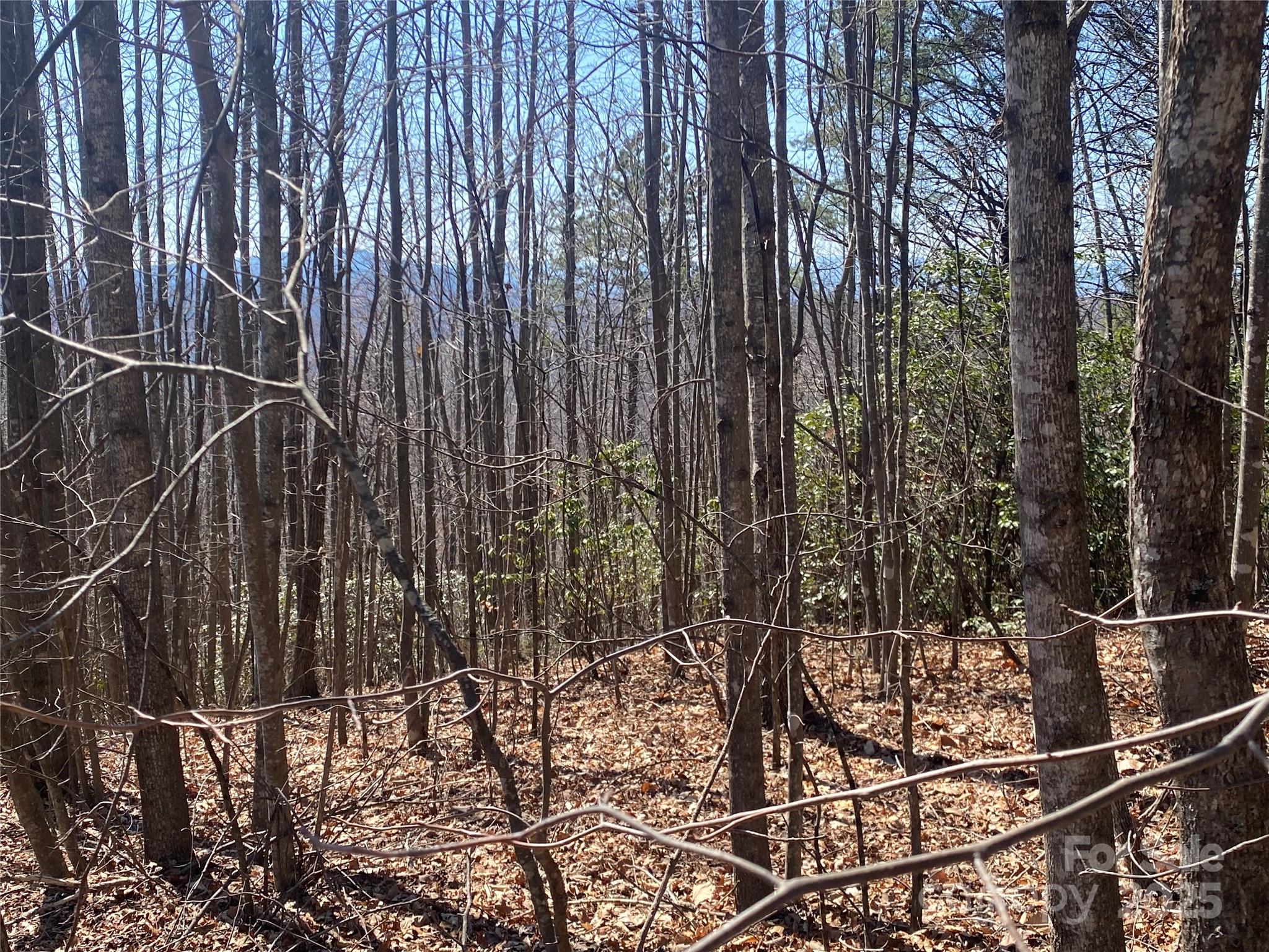 Lot 72 Mountain Crest Drive S