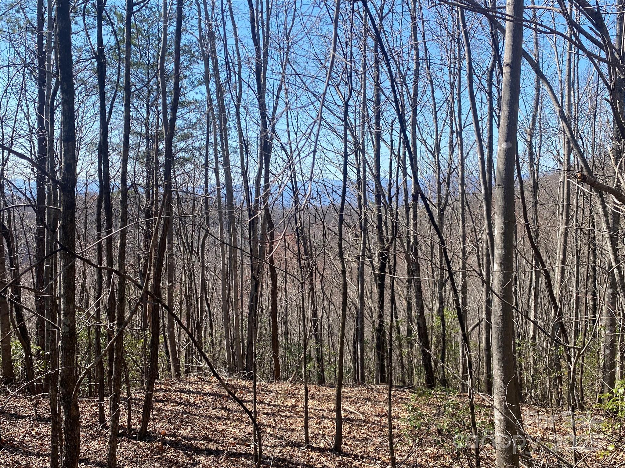 Lot 72 Mountain Crest Drive S