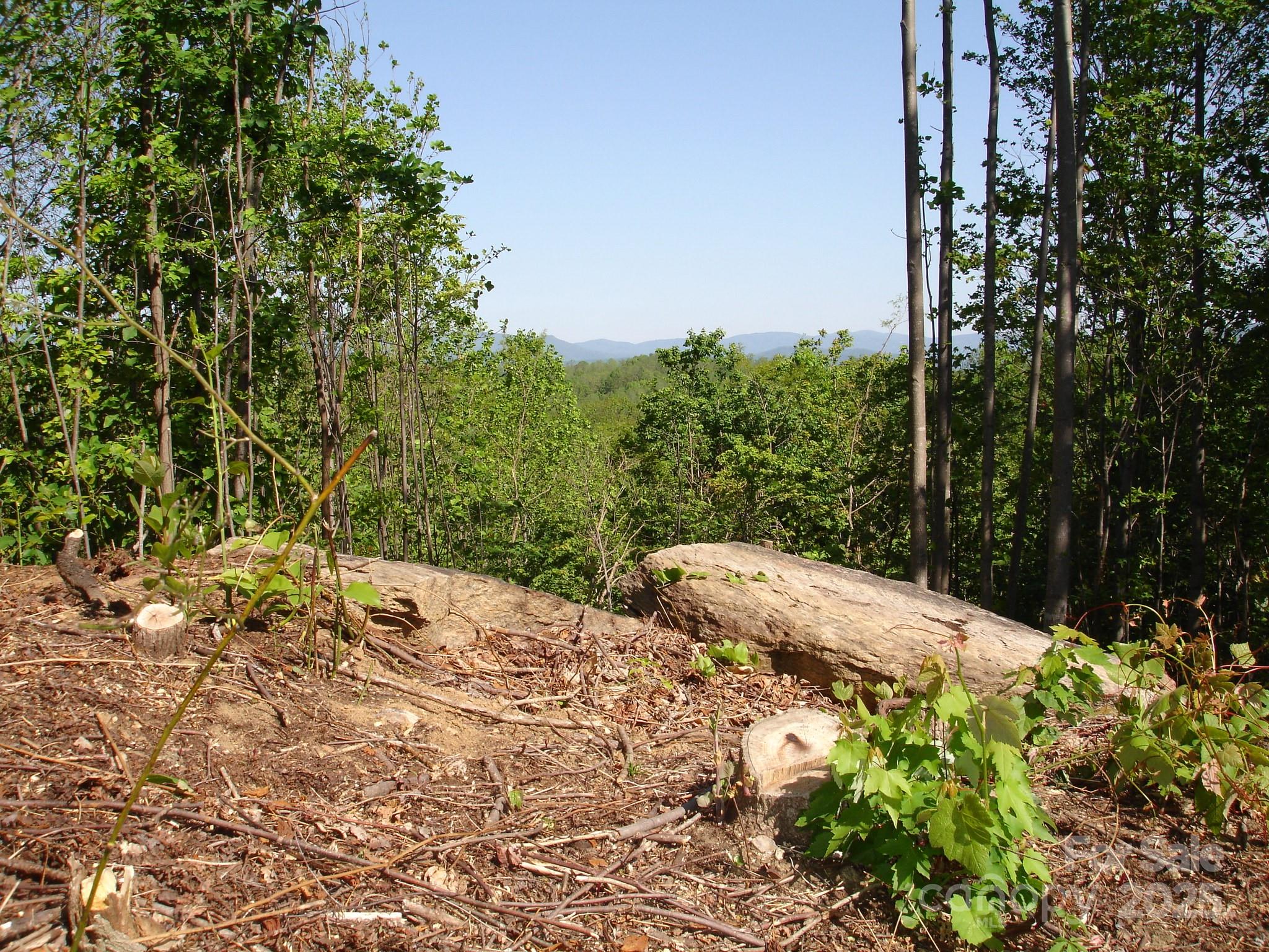 TBD Black Lark Drive