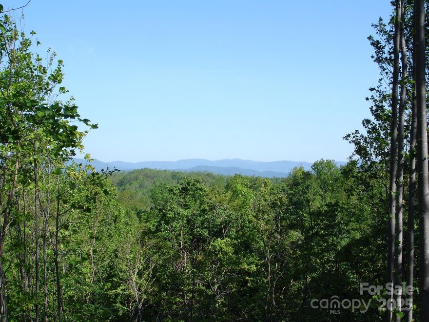 What an opportunity!  Mountain Living at its best.  The views abound pending where you decide to build your majestic Mountain Home.  With just shy of 4 acres there is plenty of room for privacy, scenic views and exploring.  Located at the top of the Forrest Heights Subdivision on the end of Black Lark Drive, this lot is the perfect canvas for your dream home!